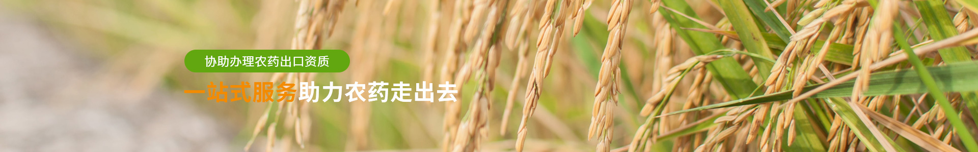 攀丰农业一站式服务助力农药走出去